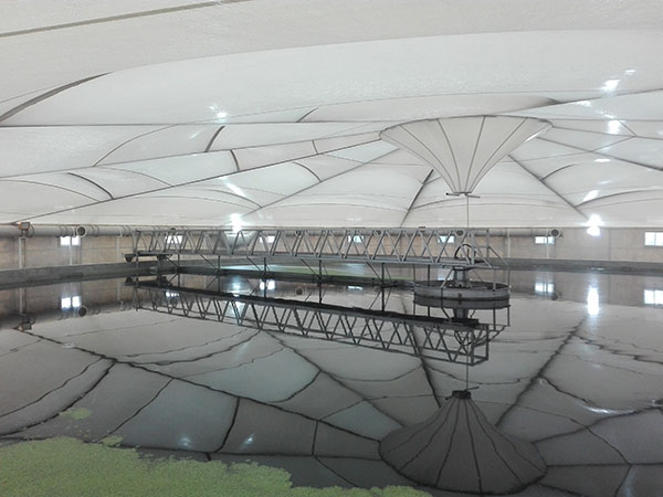 ���Ĵ��������